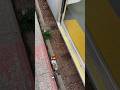 ながらスマホしてると落ちる駅