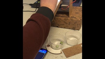 Color Sorting Machine with MSP430 -ELE 417 Embedded System Design Project