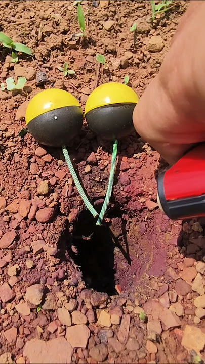 LaoTieBigStage #experiment #entertainment #youtubeshorts #shorts #114