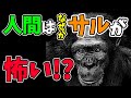 人は無意識でサルを恐れてる？【WoWキツネザルの動物園でヒーローになれる雑学】チンパンジー