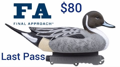 FA Last Pass Pintail decoy review! (I LOVE THEM!)