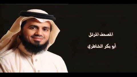 القران الكريم - ابو بكر الشاطري الصفحة 303
