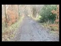 Searching bottledump Elderslie,Day 23.