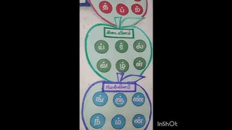 வல்லினம் மெல்லினம் இடையினம் எண்ணும் எழுத்தும்  Ennum Ezhuthum classroom  tlm Twinkling Stars ⭐⭐⭐⭐⭐