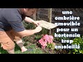 Fabrication dune ombrire amovible pour un hortensia trop ensoleill