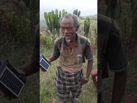 በፍቅር ያበደው የ80 ዓመት ሺማግሌ