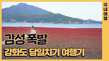 10월 강화도 당일치기 여행기 | 연미정, 성공회 강화성당, 용흥궁, 토크라피 카페, 칠면초 군락지