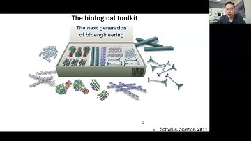 Build-a-Cell seminar Allen Liu: Toward building force-responsive secretory synthetic cells