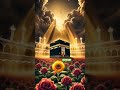 🕋🤲💚🌹💫 #riyasatchishti #madina #tedrush #allah