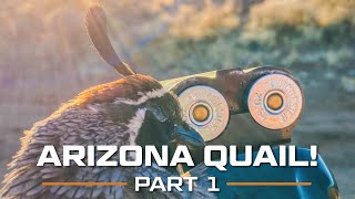 ARIZONA Quail! Part 1