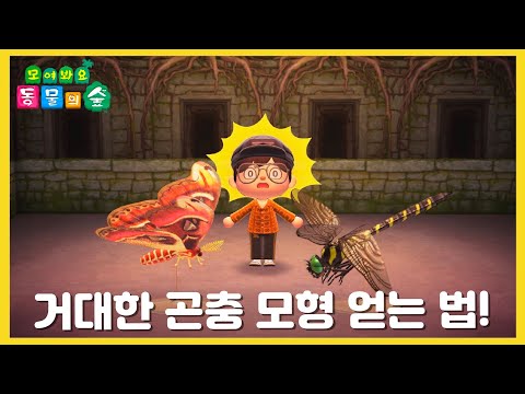 장까망 kkamang 최근 영상 - 유하 장까망 Kkamang 최근 영상 - 유하