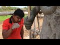 Trishulam setting with hand traditional cement statue work  siva art works