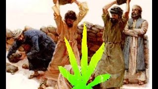 2 Common misconceptions ( Evolution , Homosexuality )