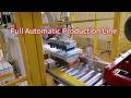 Fully Automated Packaging Line | Conveying, Carton Sealing &amp; Palletizing System
