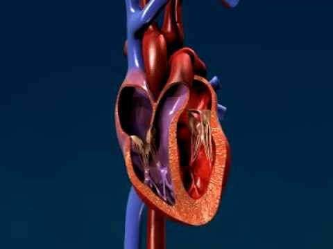 Atrial Fibrilation - YouTube