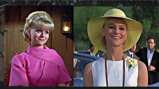 Information Diane McBain   Memorial Tribute Update