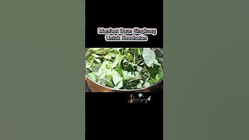 Thumbnail of Manfaat Daun Singkong Untuk Kesehatan