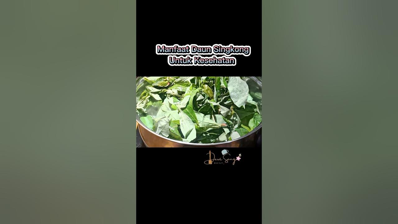 Manfaat Daun Singkong Untuk Kesehatan