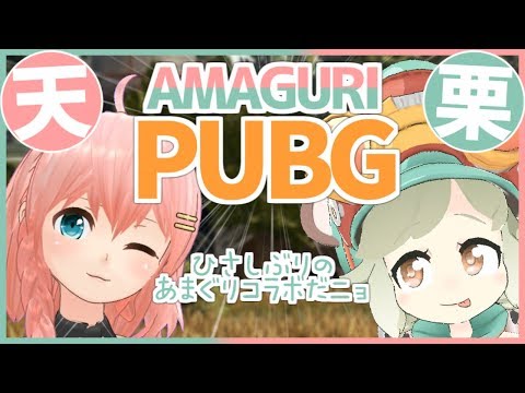 【PUBG】天栗DUOやっちゃうぜ【VTuber】