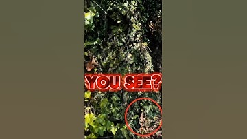 "US MILITARY CAMOUFLAGE" 🇺🇸 #shorts #tiktok #military