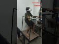 VR funny video 😂😂 best roller coaster experience #metaquest2 #vrgaming #epicgames #vrrollercoaster