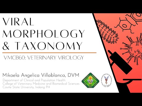 VMCB60 Module 1. Viral Morphology and Taxonomy