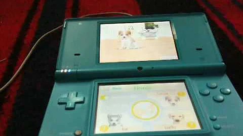 Nintendogs pt2 tips/cheats