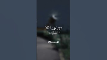 ﴿ألم يرو إلى الطير مسخرات...﴾ تلاوة خاشعة للقارئ الشيخ ياسر الدوسري ✨