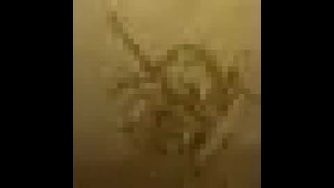 Splatoon 3 Sunken Scroll Easter Egg