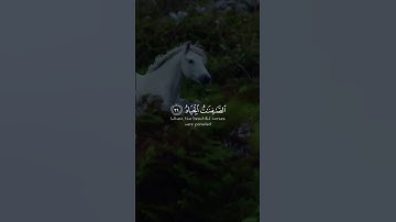 🍃❞سورة ص ووَهبنَا لِداوُودَ سُلَيمَانَ ۚ نِعمَ الْعَبْدُ إِنَّهُ أَوّابٌ ﴿٣٠﴾🌿 القارئ #اسلام_صبحي🍂..