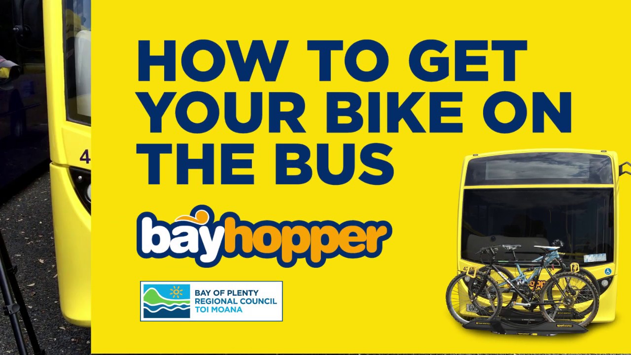 bay bus timetable tauranga