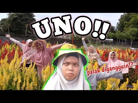 Gampong Beurawe Instagram Photos And Videos