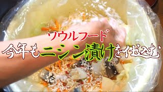 ニシン漬けを仕込む【ぐるりの暮らし#160】例年よりも遅れましたが、今年もソウルフードであるニシン漬けを仕込みました。