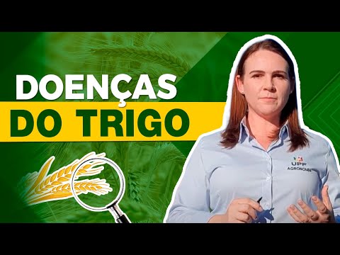 Vídeo: Doenças da Ferrugem do Trigo - Dicas para o Tratamento da Ferrugem em Plantas de Trigo