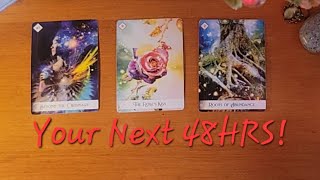 Your Next 48HRS! | Timeless Pick-a-Card Reading #timeless #pickacard #tarot