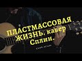 Пластмассовая жизнь. кавер Сплин.