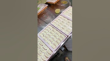 mini home use newest model dumpling making machine