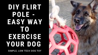 DIY flirt pole - easy, low tech dog exercise toy! 