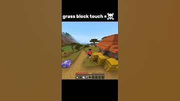 grass block touch = 💀