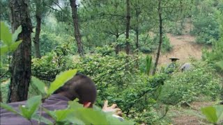 【Full Movie】Japanese sniper lies in wait, only to encounter Chinese gun god and get a headshot.