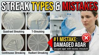 Streaking Types & Mistakes You MUST Avoid in the Lab! 🧫🔬