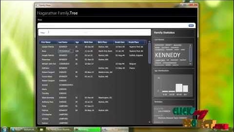 Final Year Projects | A family Particle Swarm Optimization based on the family tree