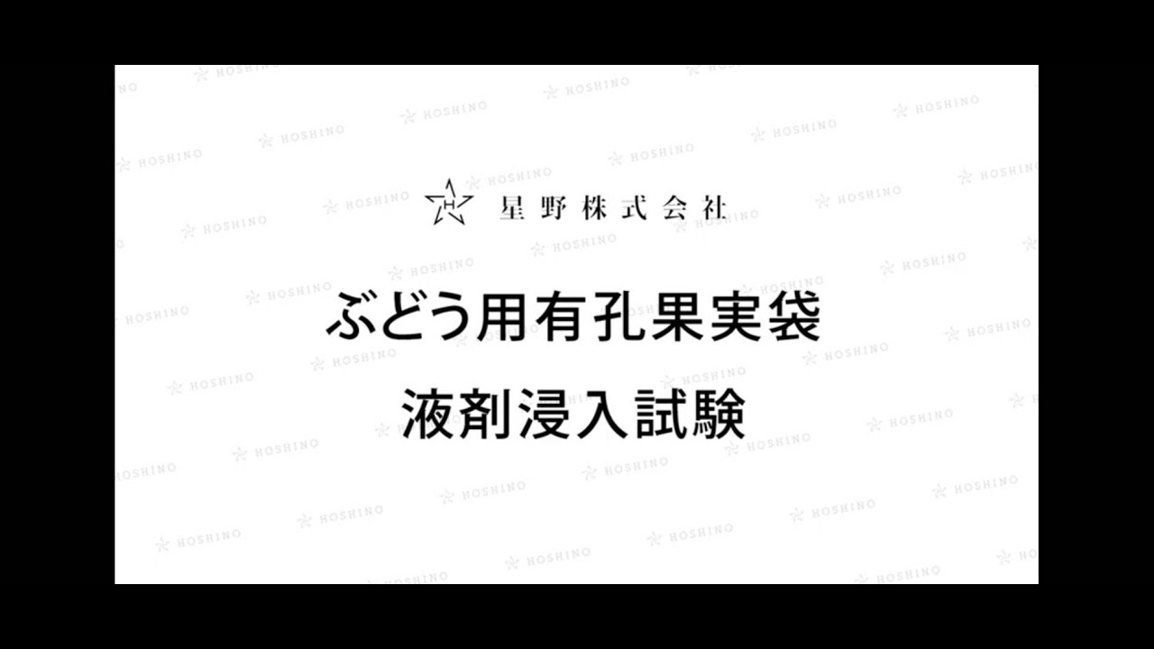 ホシノ研究室 #001 ぶどう有孔果実袋 液剤浸入試験 | 星野株式会社