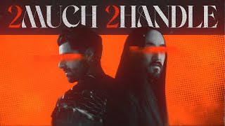 Alok &amp; Steve Aoki - 2 Much 2 Handle [Official Visualizer]