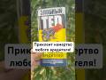 Зачем нужны клеевые ловушки? #дачныесоветы #огород #садоводничество #дача #садогороддача