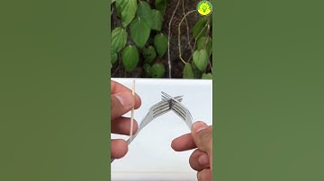 You won’t believe this balancing experiment! #sufailsvibes #shorts #youtubeshorts #experiment