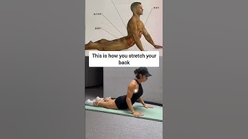 Full Body Stretching Routine for Flexibility, Mobility, and Relaxation