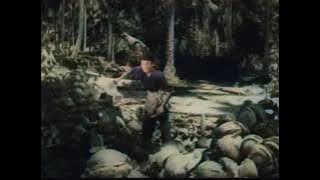 Sultan Mahmud Mangkat Dijulang (1961) - Jangan Hanya Menikam Angin