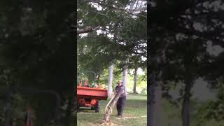 Strong Like Horse Smart Like Tractor