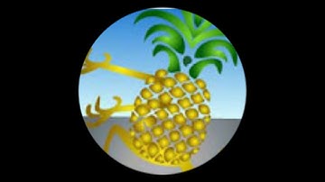 05 Basic UI Elements and Xamarin Designer   Part 2